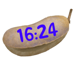 576493343