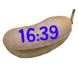 576493348
