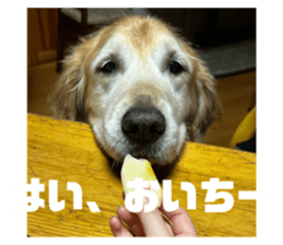 576510920