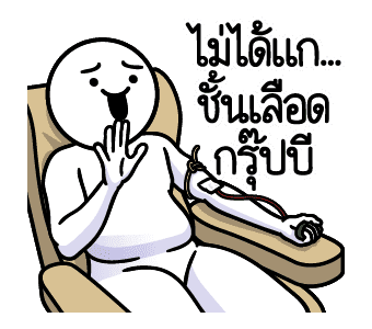 ลายที่ 13