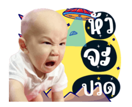 576519244