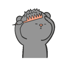 576526416
