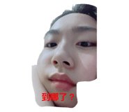 576554442