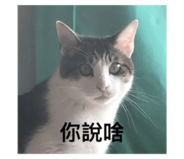 576557360