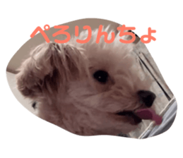 576566252