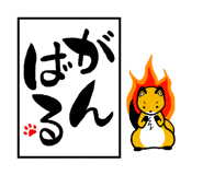 576584620
