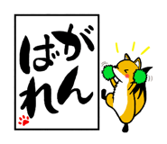 576584621