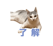 576586790