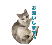 576586793