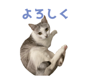 576586795