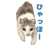 576586797
