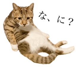576587385