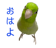 576591039