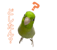 576591041