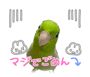 576591044
