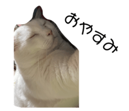 576593522