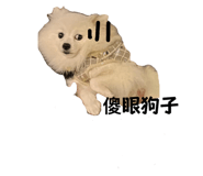 576605295