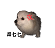 576605301
