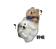576605302