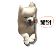 576605305