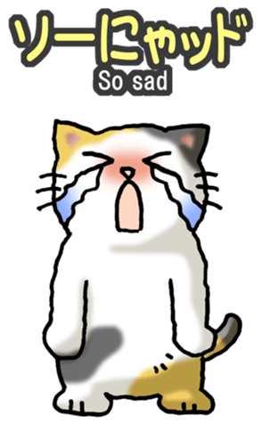 576642407