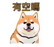 576654529