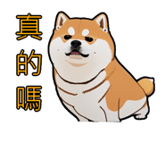 576654530