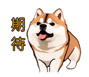 576654532