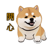 576654536