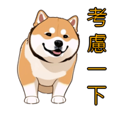 576654538