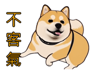 576654540