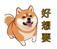 576654541