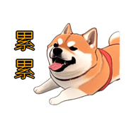 576654546