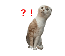 576661444