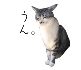 576661446