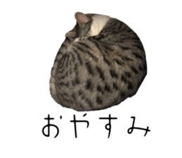 576661448