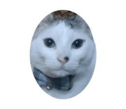 576662693