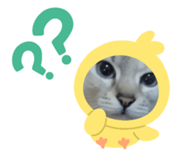 576662700