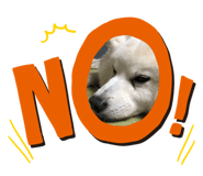 576727119