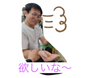 576728309