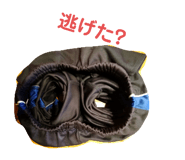576742369