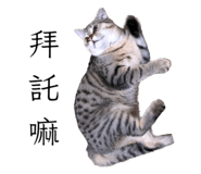 576751925