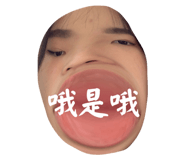576753497