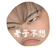 576753520