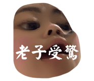 576753523