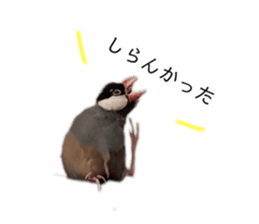 576756533