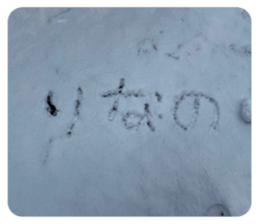 576770189