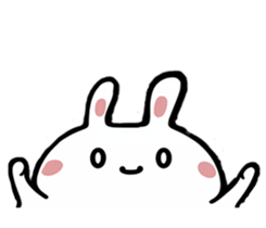 576780050