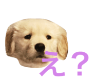 57680398