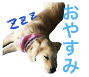 57680400